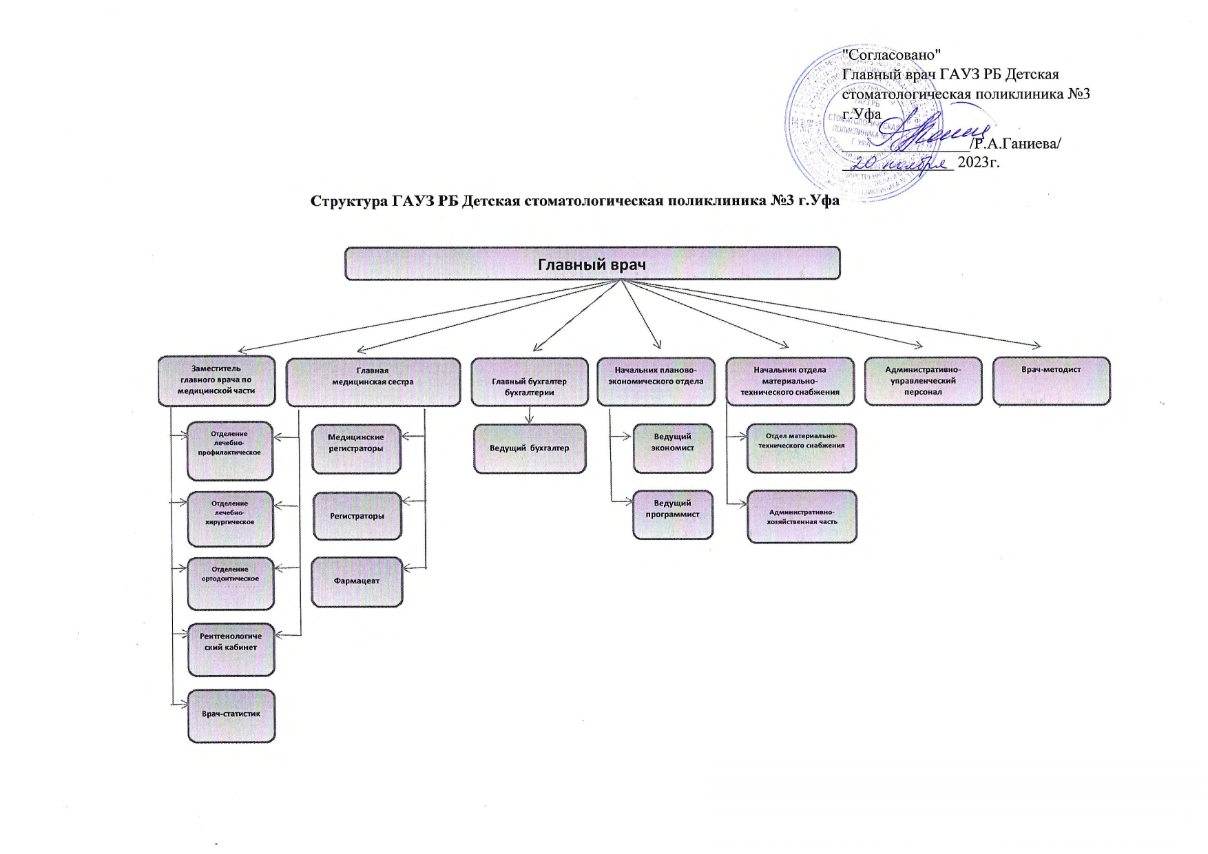 Организационная структура