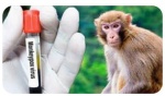 19-21 июля 2022 года в ГАУЗ РБ Детская стоматологическая поликлиника №3 г. Уфа были проведены обучающие семинары на тему: «Оспа обезьян»